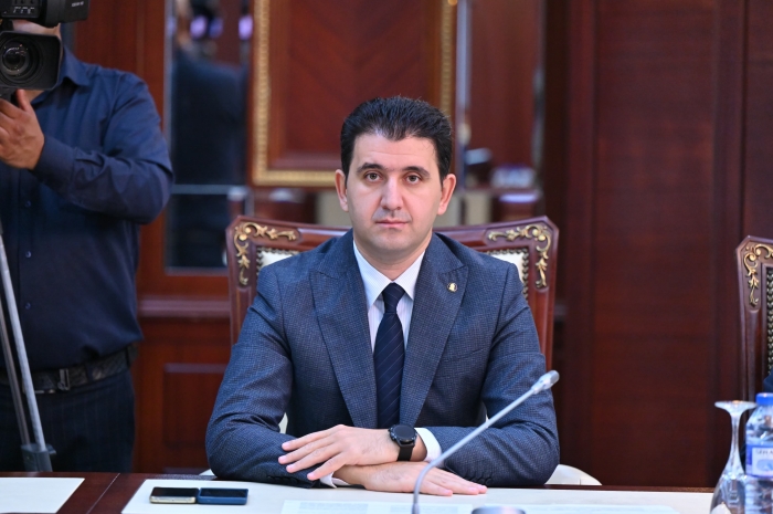 "Gürcüstan bu məsələlərdə diqqətli olmalıdır" - Deputat Fransanın Ermənistana texnika daşımasından DANIŞDI